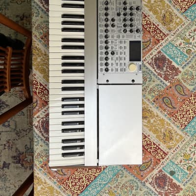 Korg Radias 2000s - Gray