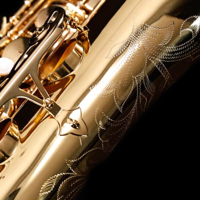 Selmer STS411 Step-Up Tenor Saxophone Outfit-Lacquer image 11