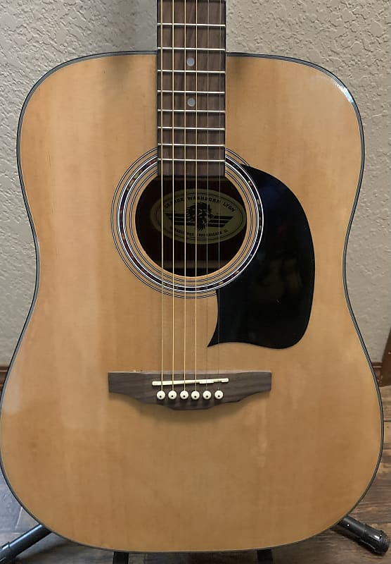 Washburn Lyon LG2TPAK Acoustic Guitar Reverb