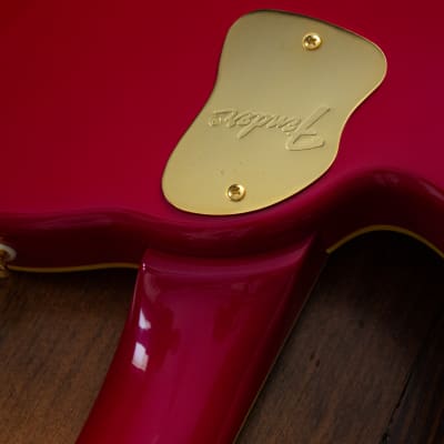 🇯🇵 1993 Fender Terry-1 Anniversary, Custom Edition, All Original, MIJ, Japan image 16