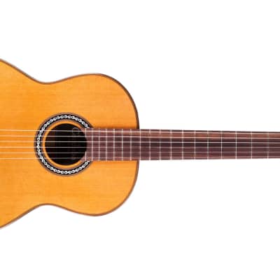 Cordoba C9 Luthier Series Nylon-String Classical Guitar (Canadian Cedar Top, High Gloss) w/ Case, image 4