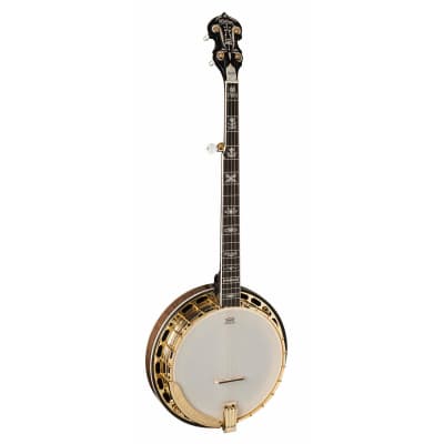 Washburn B17 Americana Series 5 String Banjo. Tobacco Sunburst image 1