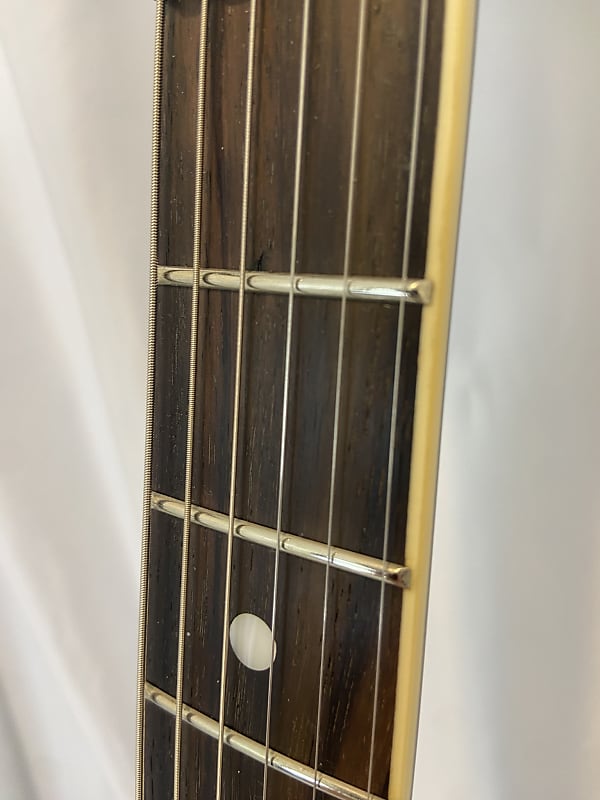Washburn Funky Munky Dimebag 2008 - Polka Dot | Reverb