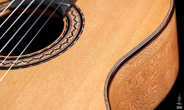 Andy sales culpepper guitar