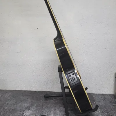 Washburn EA22 | Reverb