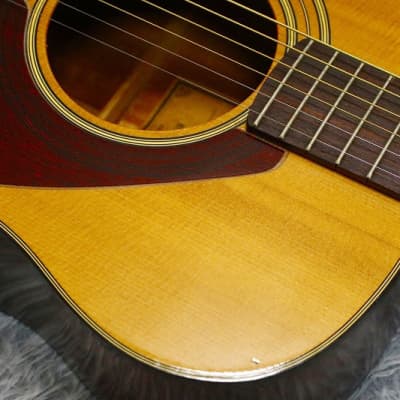 YAMAHA FG-130 1974年 美品良好 1974 made Vintage Acoustic Guitar Yamaha FG-130 GREEN Label