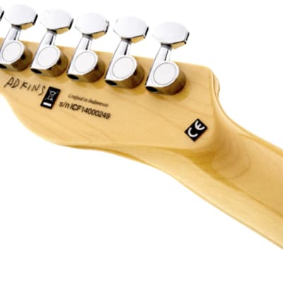 Fender Jim Adkins Signature Telecaster Thinline Electric Guitar, Natural image 6