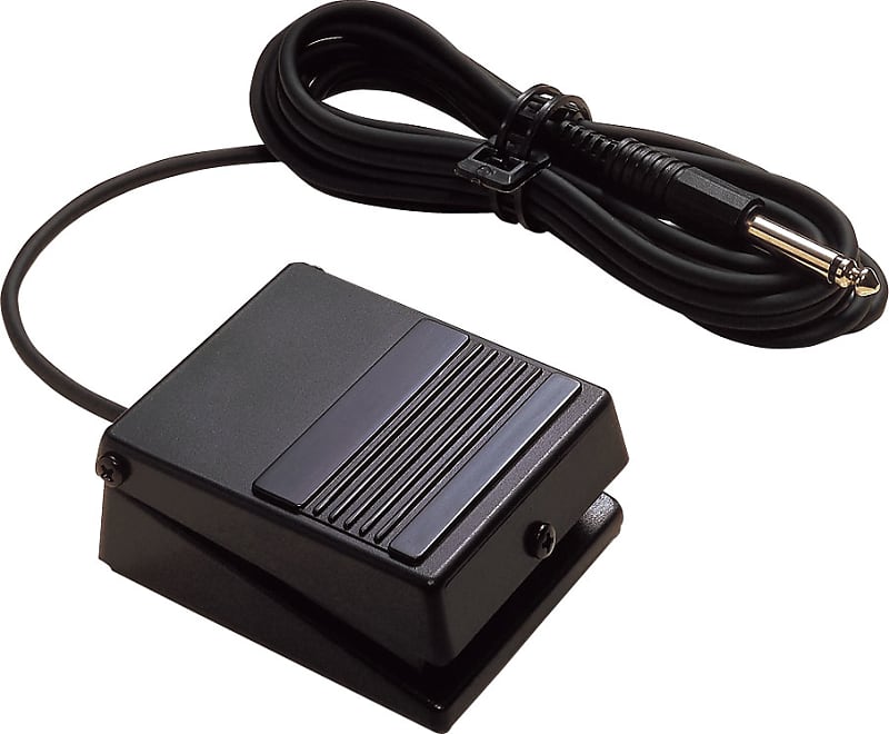 Roland Pedal Switch - DP-2 image 1