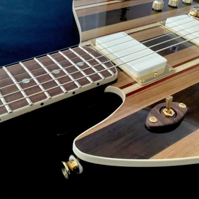 JD Guitars 2023 Neptune-6 image 16