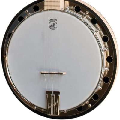 Aria SB-600 Deluxe 5 String Banjo High End Aria Gold