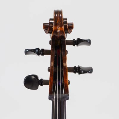 Eastman VC305 Andreas Eastman Step Up Professional Series Cello - 3/4 image 5