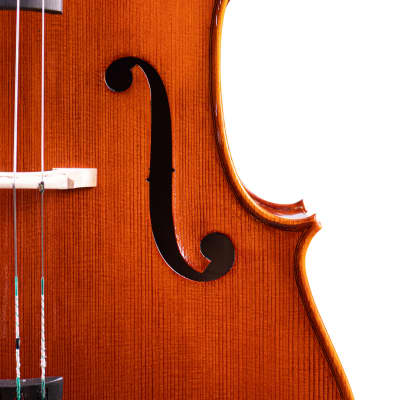 Great Goffriller Cello 4/4 PRO Level Hand-Made in Romania 2024 #28 image 5
