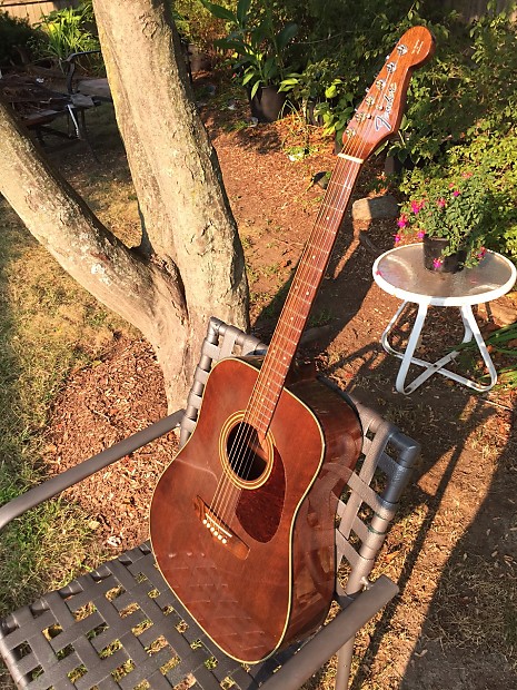 Fender newporter ii top
