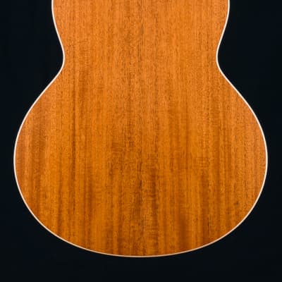Lowden F-20 Sitka Spruce and Mahogany with Pickup NEW image 5