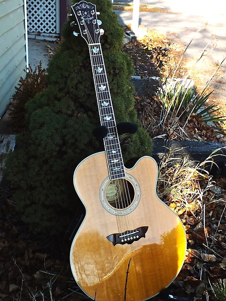 Washburn cumberland hotsell acoustic guitar