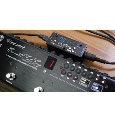 Brand New One Control Crocodile Tail Loop + Croc Eye | Reverb