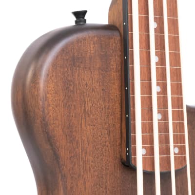 Gold Tone ME-BassFL: 23-Inch Scale Fretless Electric MicroBass with Gig Bag image 4