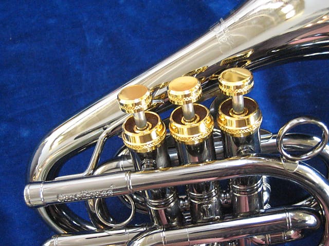 Carol Brass Dizzy B Flat Pocket Trumpet CPT-7000-GLS-BB-SLB - Trumpets for  students to pro players - Cornets and Flugelhorns - Sax & Woodwind and  Brass