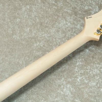 FREEDOM CUSTOM GUITAR RESEARCH HYDRA 24F 2Point 1P Flame Maple Body -Kabukimono- 2023 [Made in Japan] image 10