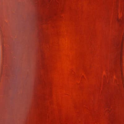 Eastman Strings 4/4 VC95 Cello Outfit USED image 10