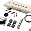 EMG ACS Acoustic Guitar Soundhole Pickup Ivory