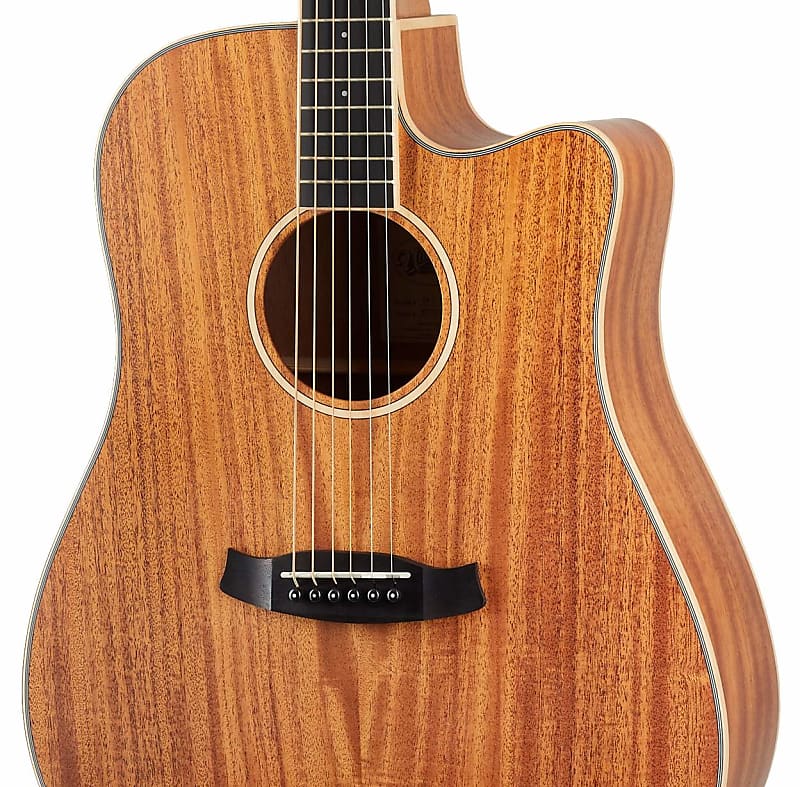 Tanglewood sales twu dce