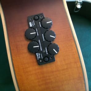 Ibanez Vine acoustic-electric solid wood beauty image 4