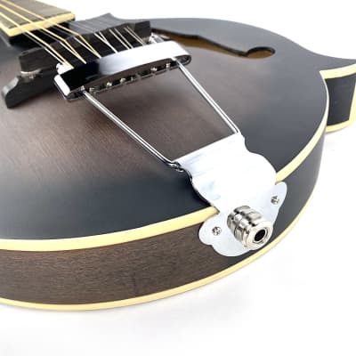 Gold Tone F12 F-Style 12-String Mando-Guitar 2021 Tobacco Sunburst Satin image 8