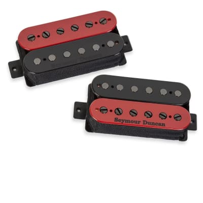 鬼虎目ネック！seymour duncan DS traditional 鬼虎目ネック！seymour duncan DS traditional