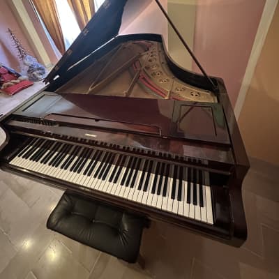 Chickering & Sons 58515 1881 - Marrone satinato image 5