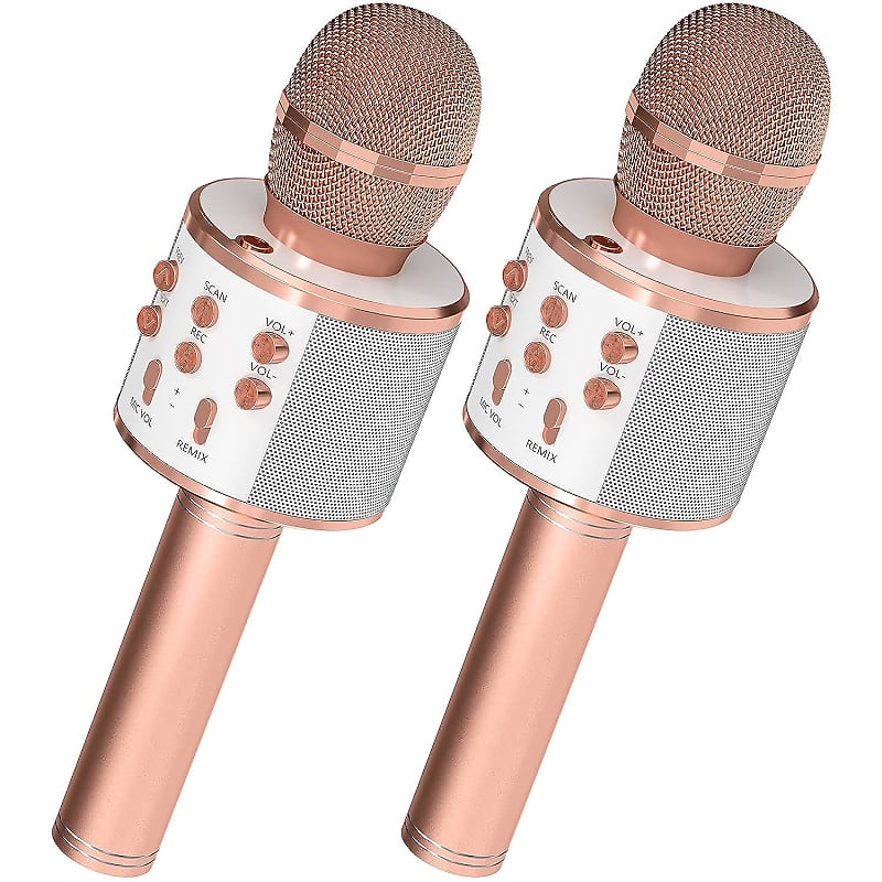 Microfonos Inalambricos Profesionales Professional Karaoke Portable (2 Pack)