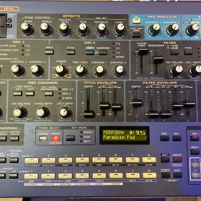Roland JP-8080 Synthesizer Module With Custom Cheeks