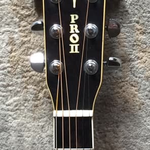 激レア　貴重　ARIA KW-3　D-45　アメリカ　USA　グローバー　アリア 激レア 貴重 ARIA KW-3 D-45 アメリカ USA グローバー アリア 激レア