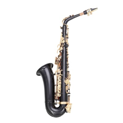 Glarry Alto Saxophone E-Flat Alto SAX Eb with 11reeds, case, carekit, for Students and Beginners 2020s - Black image 14