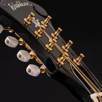 Washburn M1SDLB Bluegrass Series A-Style Mandolin. New with Full Warranty! image 7