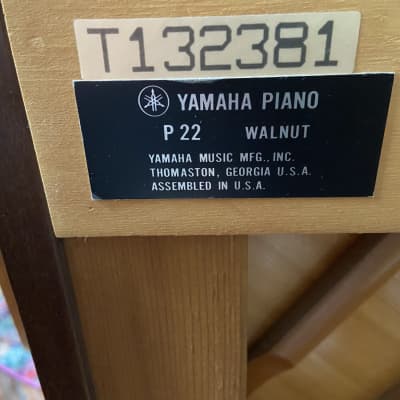 Yamaha P-22 1990 Walnut image 7