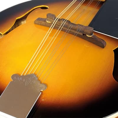 Ashbury AM-10 Mandolin - Sunburst image 2
