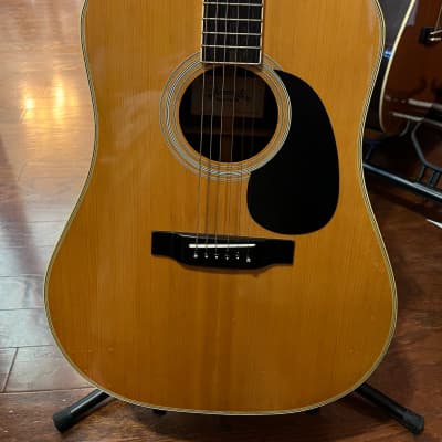 Tokai Hummingbird Custom - W-300 - Acoustic Guitar | Reverb