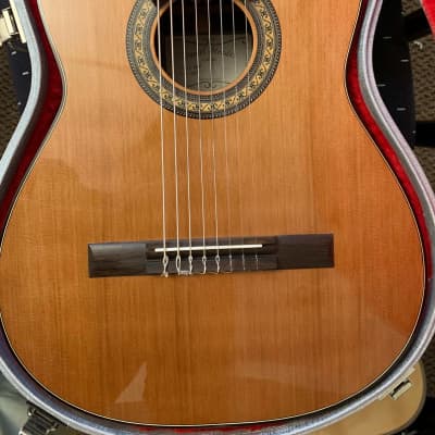 Daniel Mendes Eight String Guitar 2018 Cedar / Brazilian Rosewood image 1