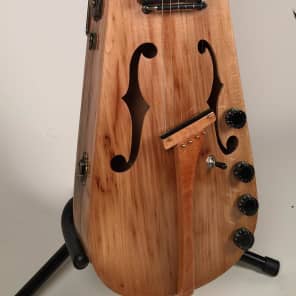 Custom Vintage 120 Year Old Violin Case Guitars - Electric & Acoustic with Custom Case image 4