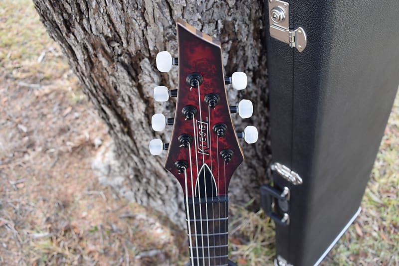 Kiesel DC700 7 string , Exotic woods and very high specs