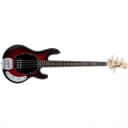 Sterling by Music Man StringRay RAY4 Bass Guitar Red Ruby Burst