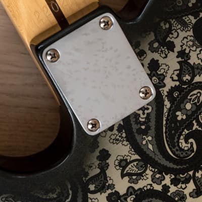 Riggio Custom Guitars Tango Thinline, Black Paisley w/ Mastery M1, Bigsby B5F, G&G Case image 16