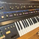 Roland Jupiter 6 61-Key Synthesizer with Europa Mod (new full service ,new battery)