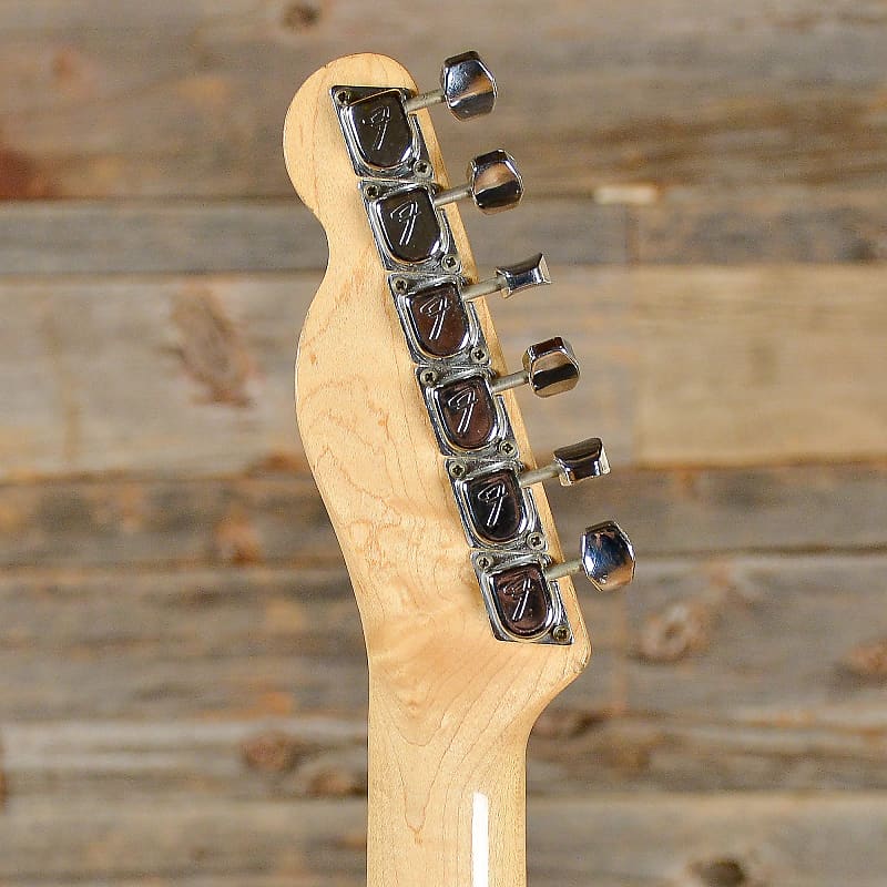 Fender Telecaster Thinline with Bigsby (1972 - 1975) image 6