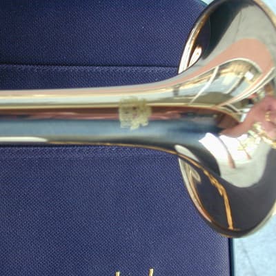 Berkeleywind Bb/A/G Piccolo Trumpet (GoldBrass Stomvi Style) image 5