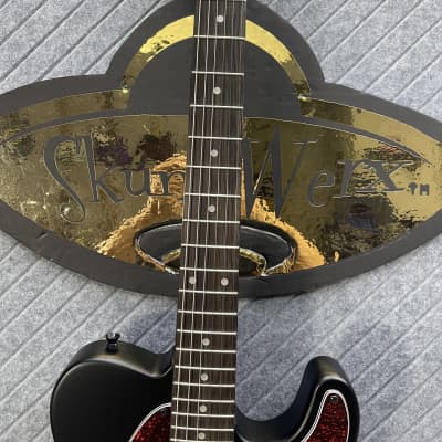 Harley Benton TE-20HH SkunkWerx Best Seller FretWerx In USA Fret Dress and Setup Included! Satin Black image 6
