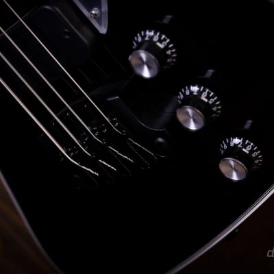 Gibson Gene Simmons G2 Thunderbird image 5