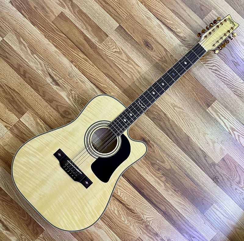 John Hiatt's Washburn Timber Ridge D1712CE 12-String Acoustic with XLR / The Guitar From The Ad image 1