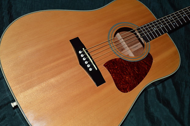Ibanez hotsell artwood aw100